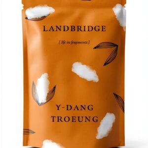 Duke University Press Books Asian American Memoir Kindle-0