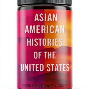 Beacon Press Asian American Studies eBook ReVisioning-0