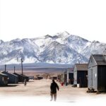 Belknap Press Asian American History eBook English Language-0